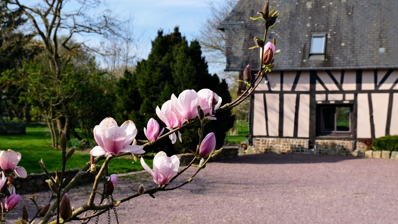 Photo of Outdoor in Gisay-la-Coudre