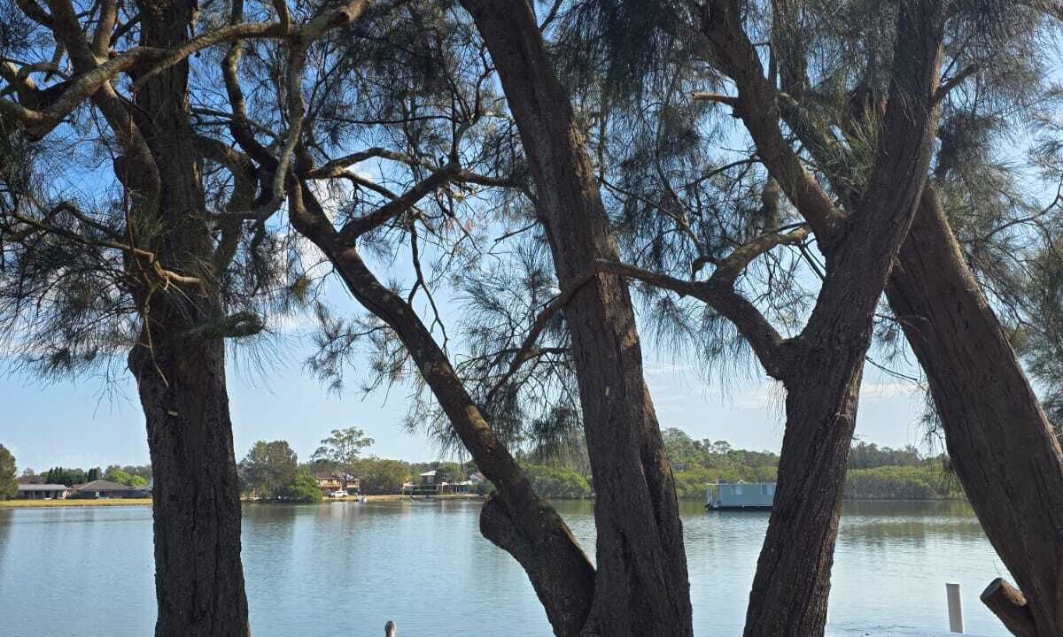 Photo of Others in Tuncurry