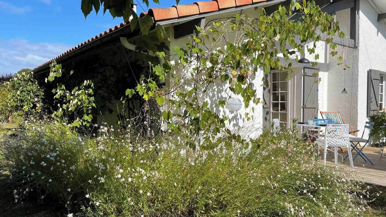 Photo of Outdoor in Saint-Julien-en-Born