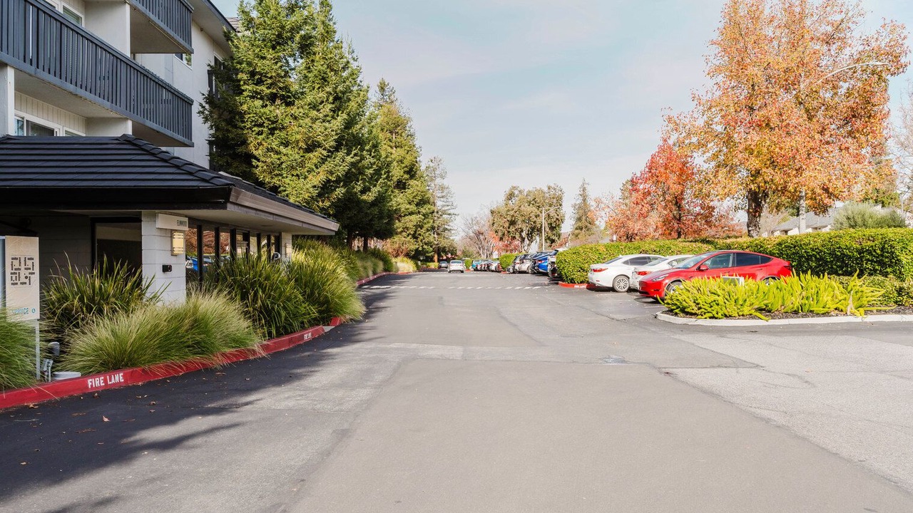 Photo of Outdoor in Sunnyvale