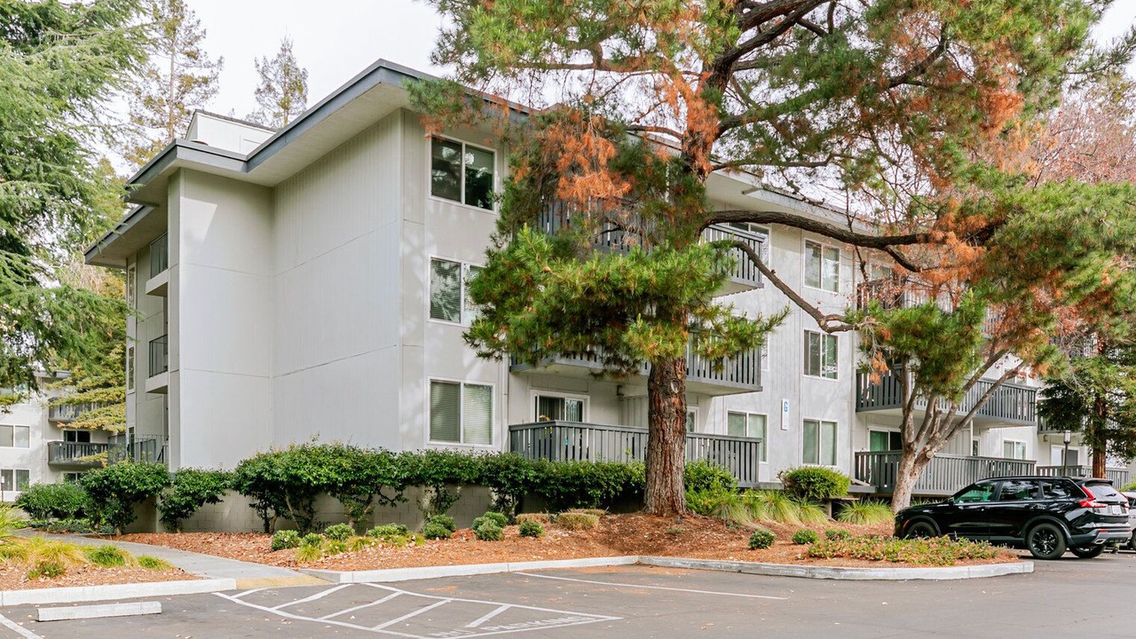 Photo of Outdoor in Sunnyvale