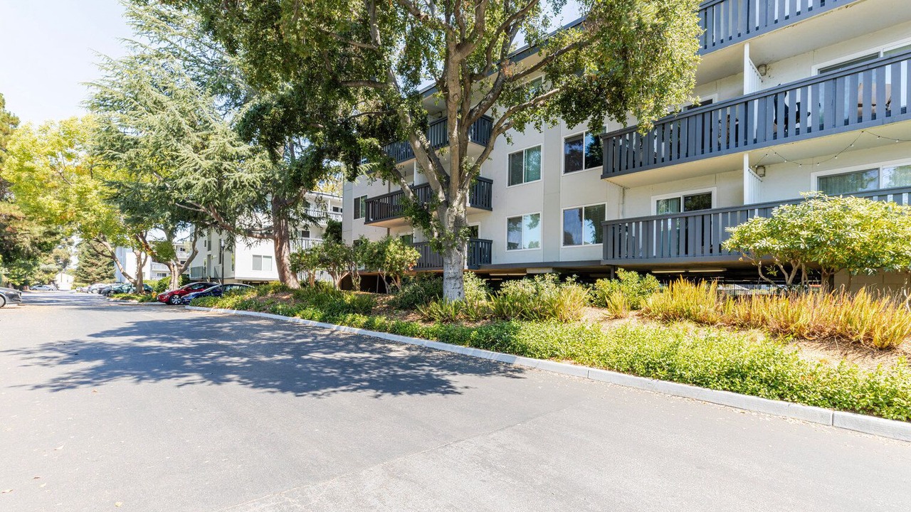 Photo of Outdoor in Sunnyvale