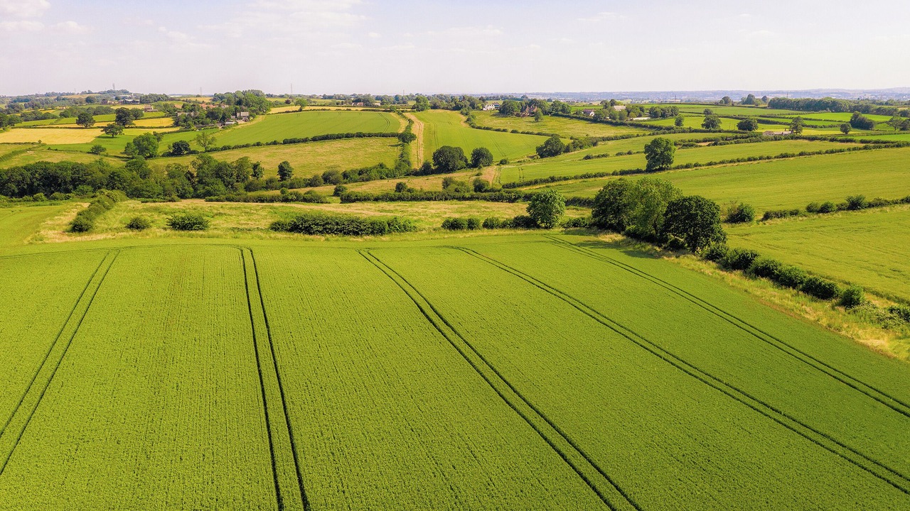 Photo of Others in Congerstone