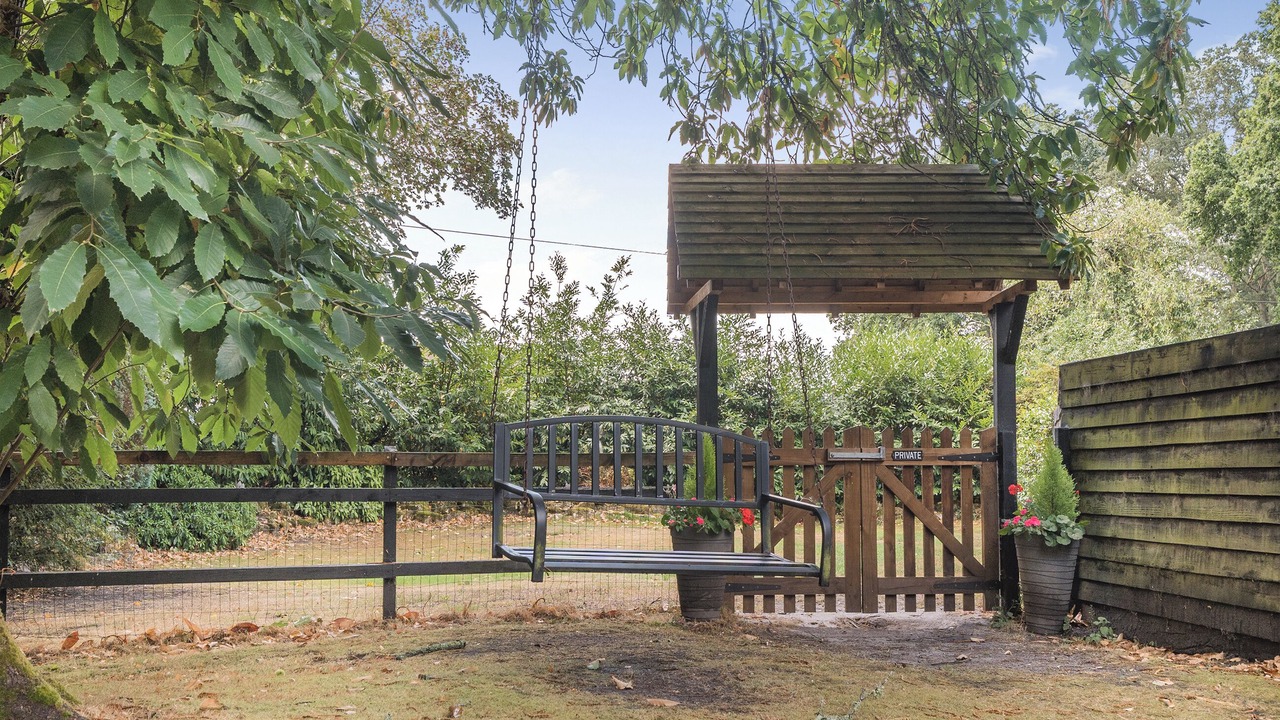 Photo of Outdoor in New Forest District