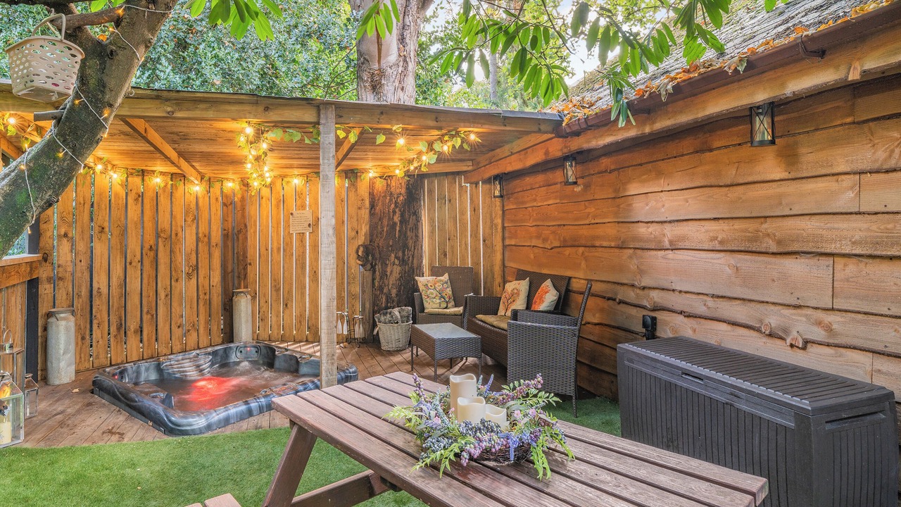 Photo of Others in New Forest District