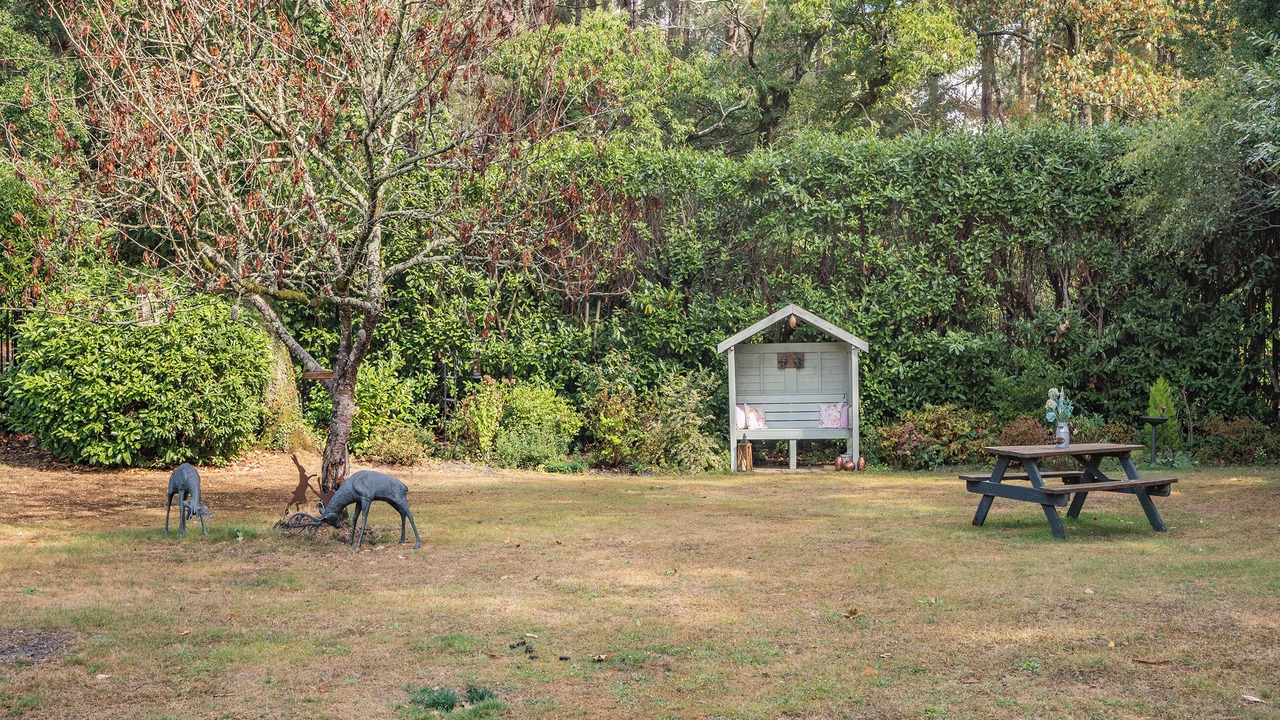 Photo of Outdoor in New Forest District