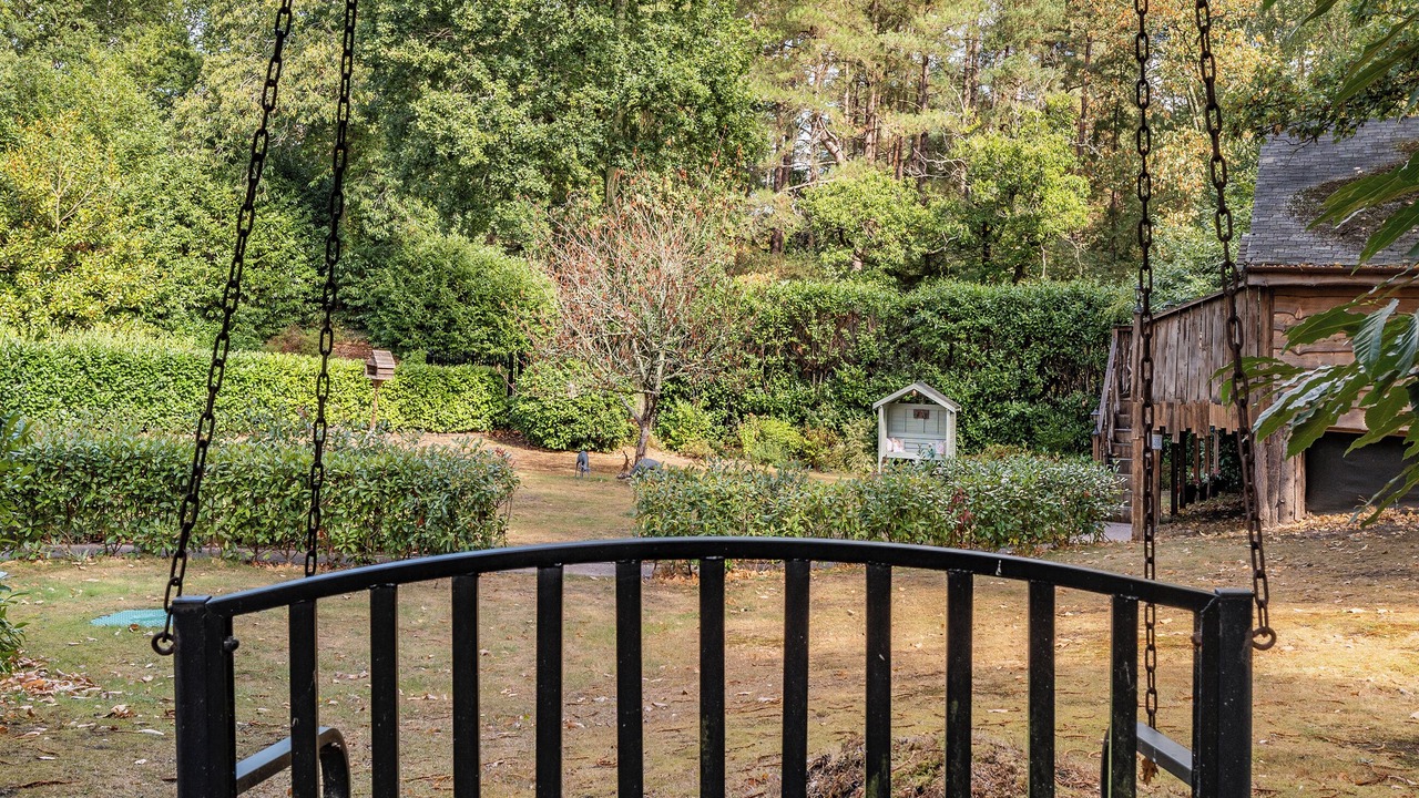 Photo of Outdoor in New Forest District