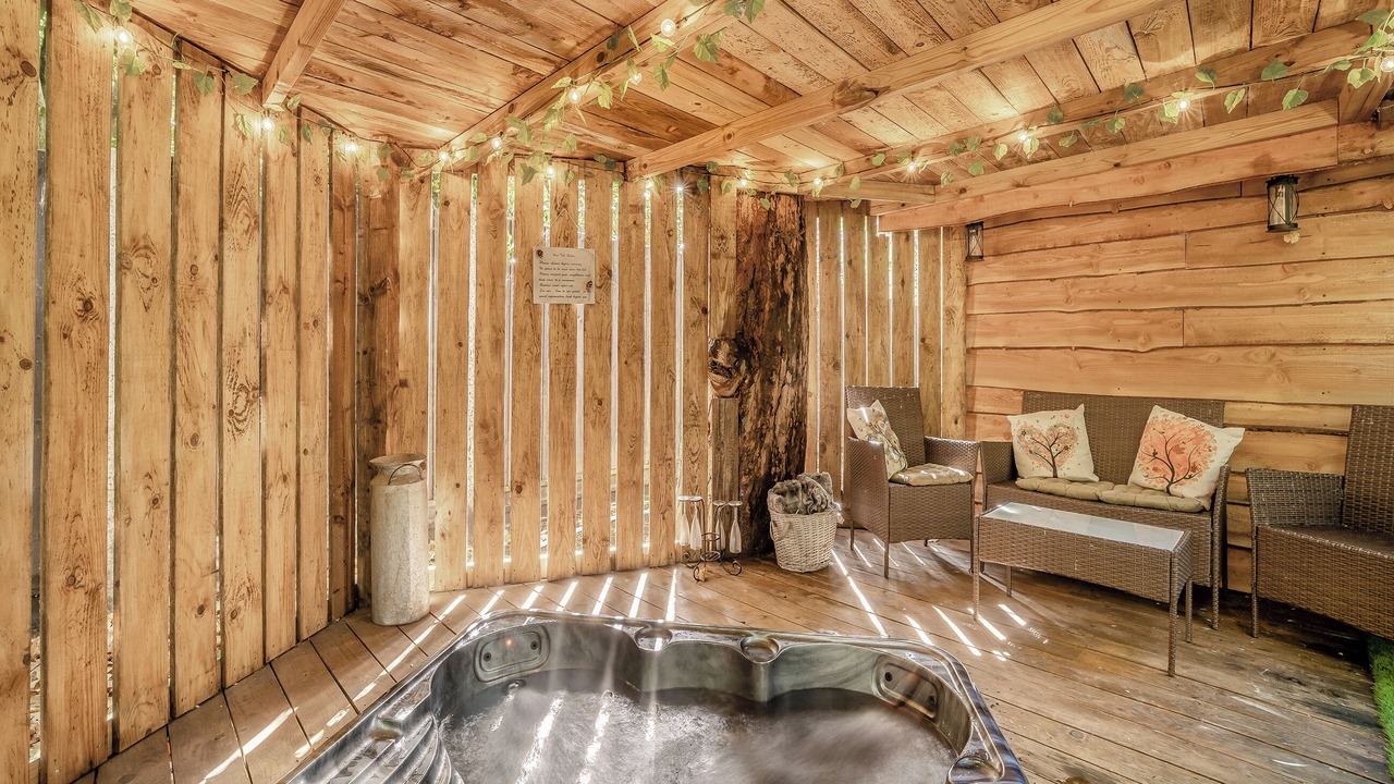 Photo of Others in New Forest District