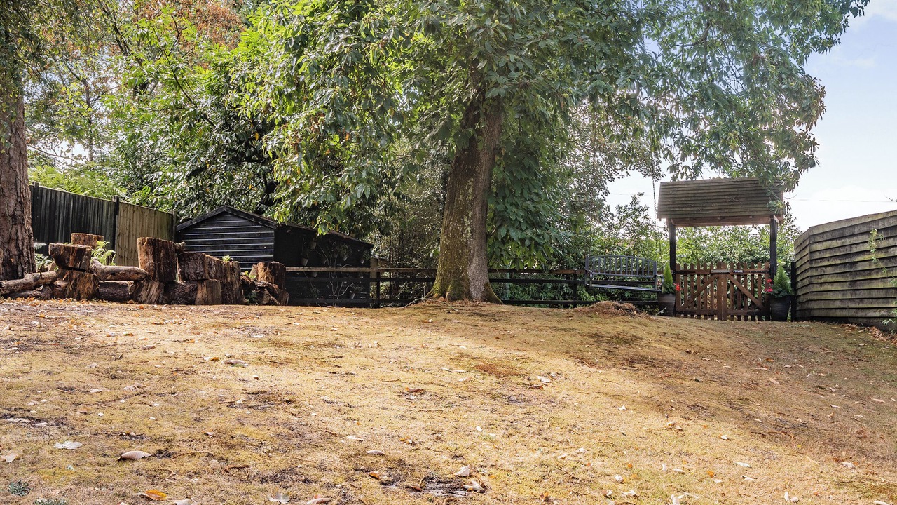 Photo of Outdoor in New Forest District