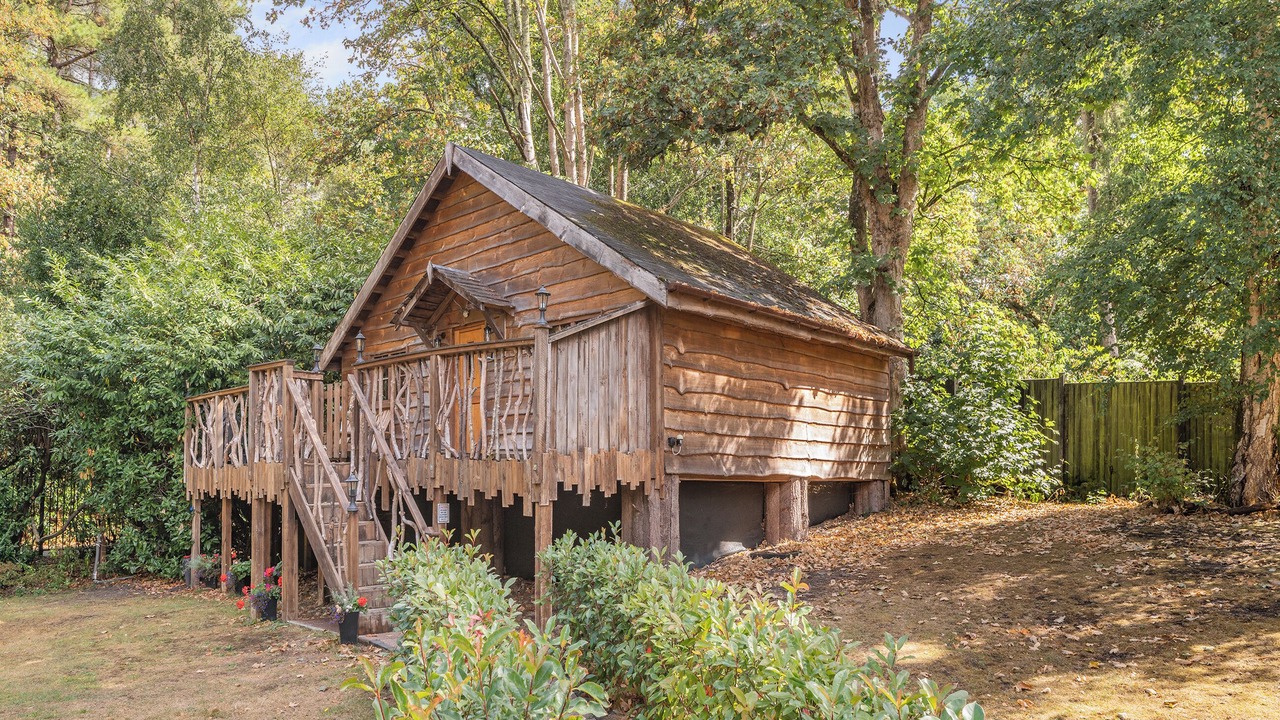 Photo of Outdoor in New Forest District