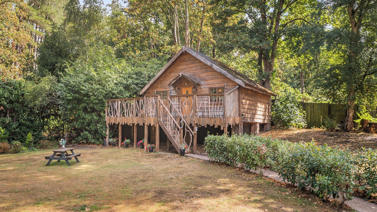 Photo of Others in New Forest District