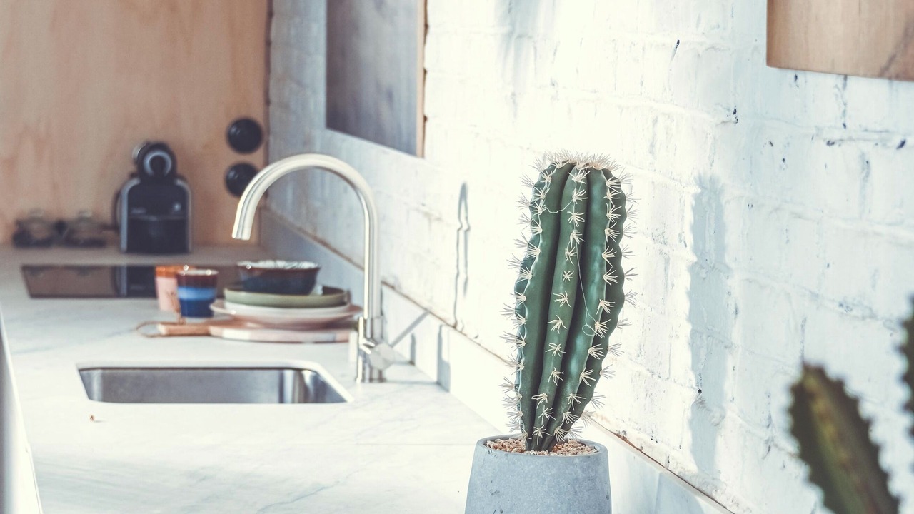 Photo of Kitchen in La Madeleine