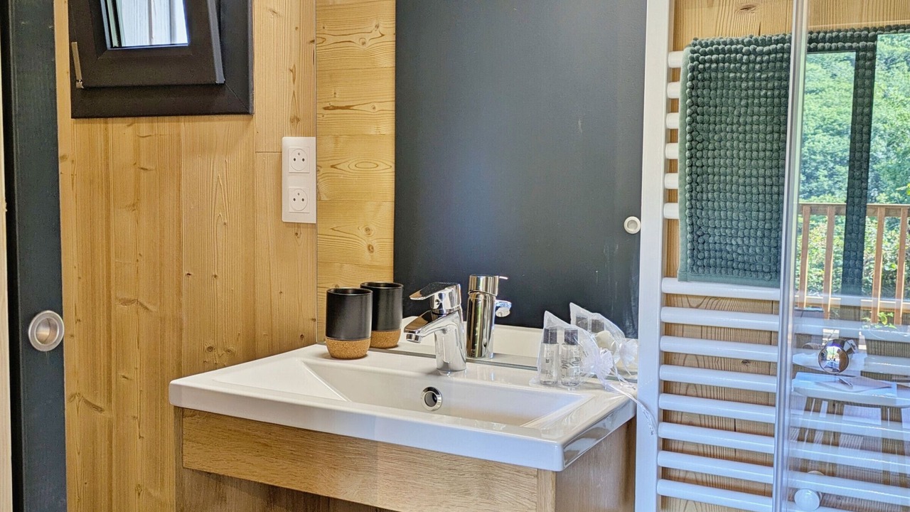 Photo of Bathroom in Saint-Berthevin