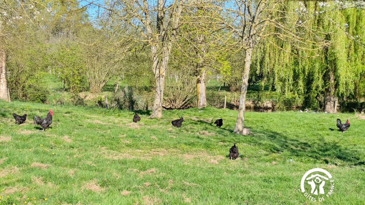 Photo of Others in Saint-Michel-de-la-Roe