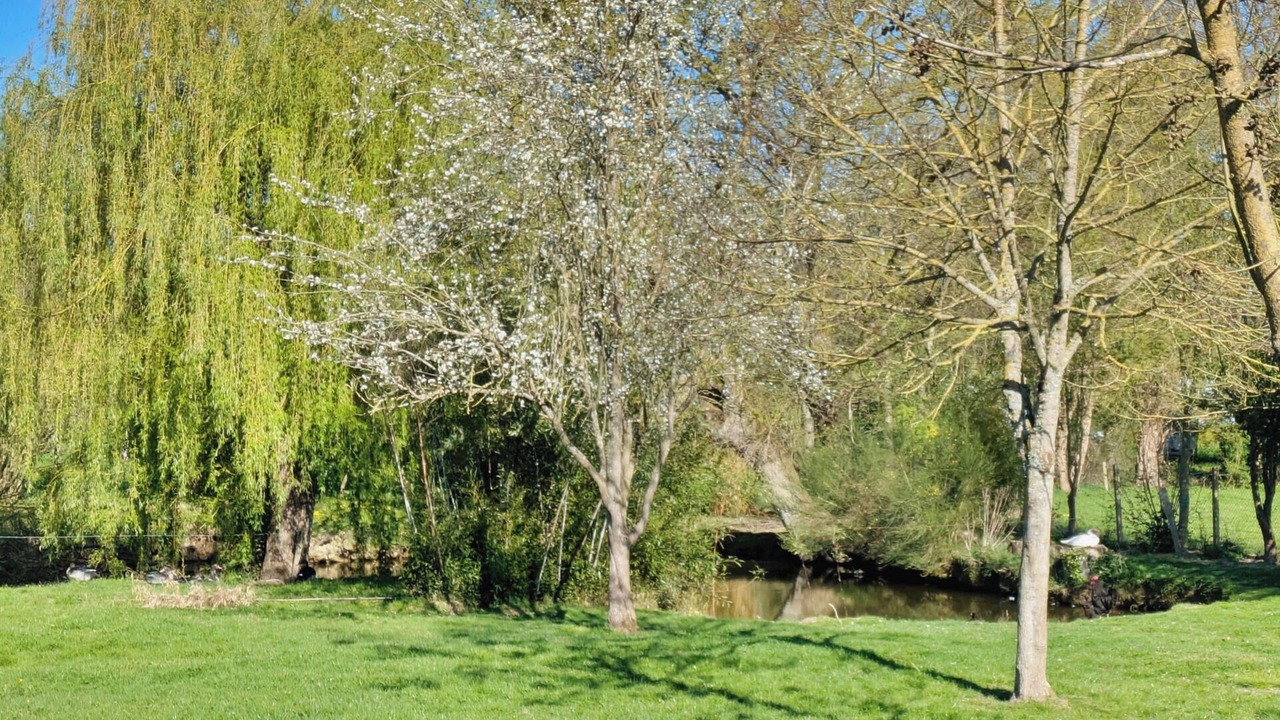 Photo of Outdoor in Saint-Michel-de-la-Roe