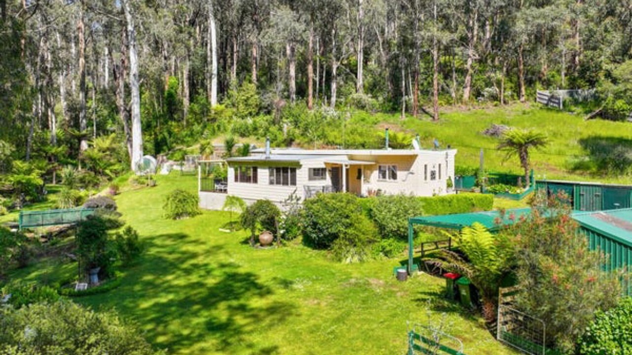 Photo of Outdoor in Noojee