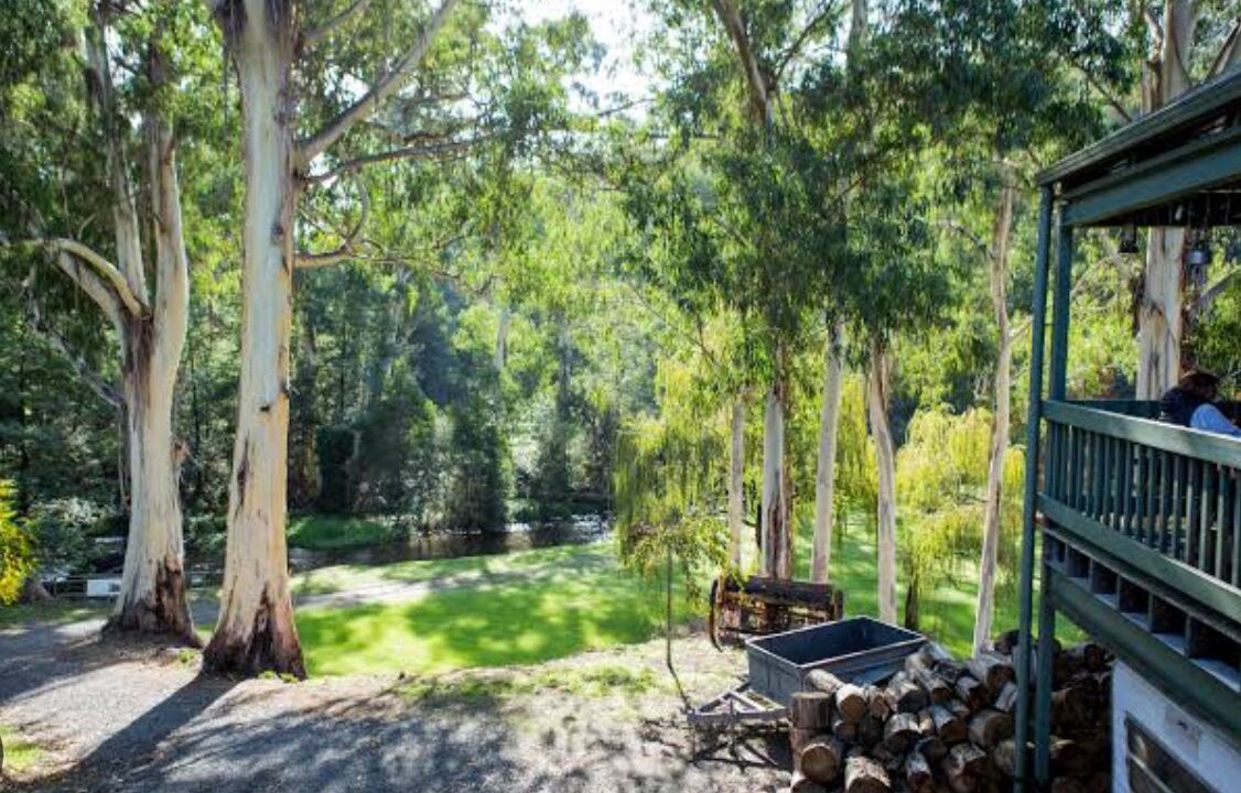 Photo of Outdoor in Noojee