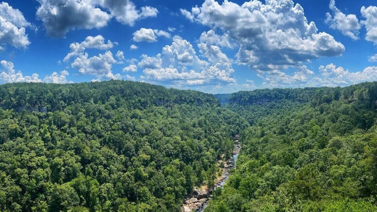 Photo of Others in Valley Head