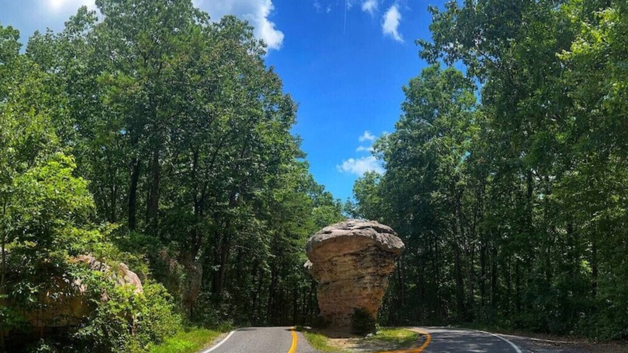 Photo of Others in Valley Head