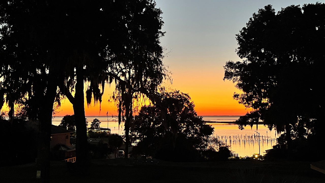 Photo of Patio Balcony in Daphne