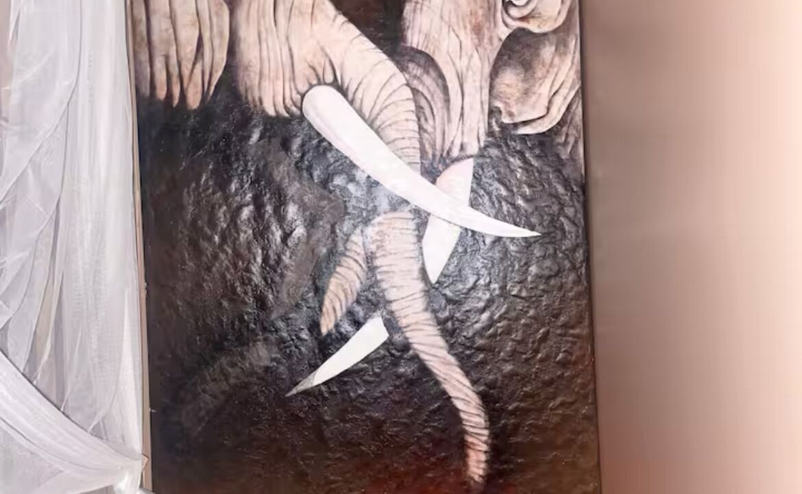 Photo of Others in Kingersheim