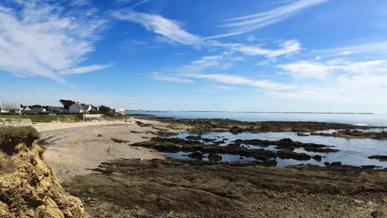Photo of Others in Piriac-sur-Mer
