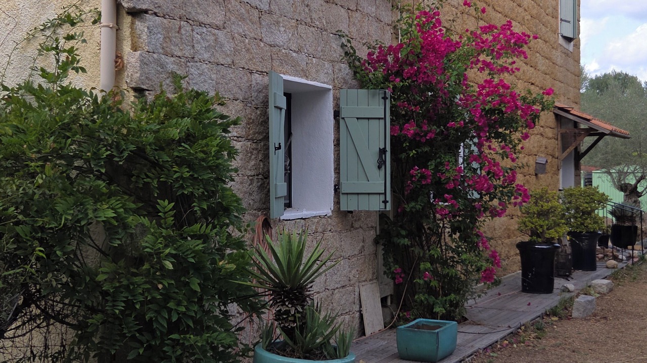 Photo of Outdoor in Serra-di-Ferro