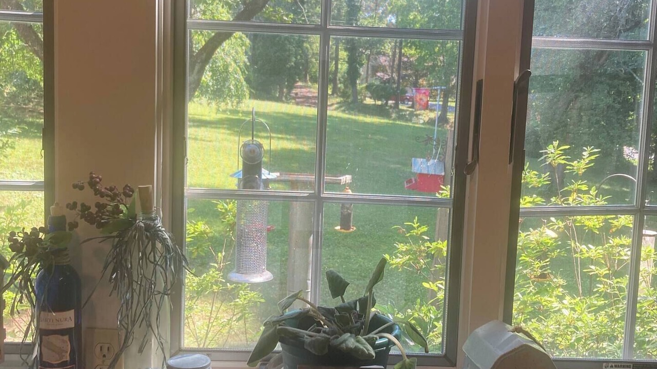 Photo of Others in Hatfield