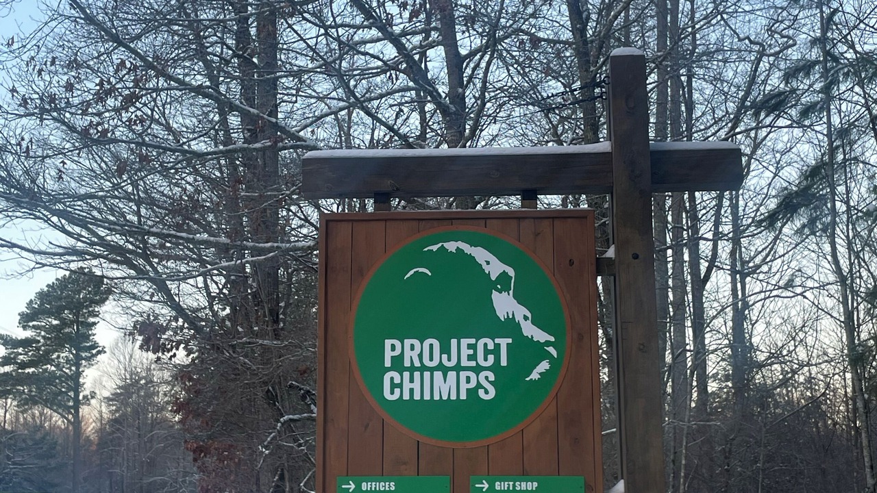 Photo of Others in Mineral Bluff