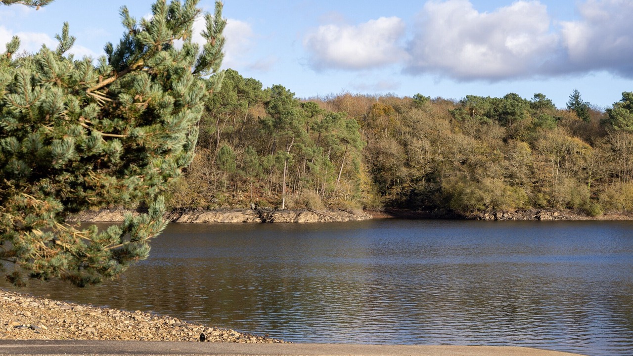 Photo of Others in Caurel