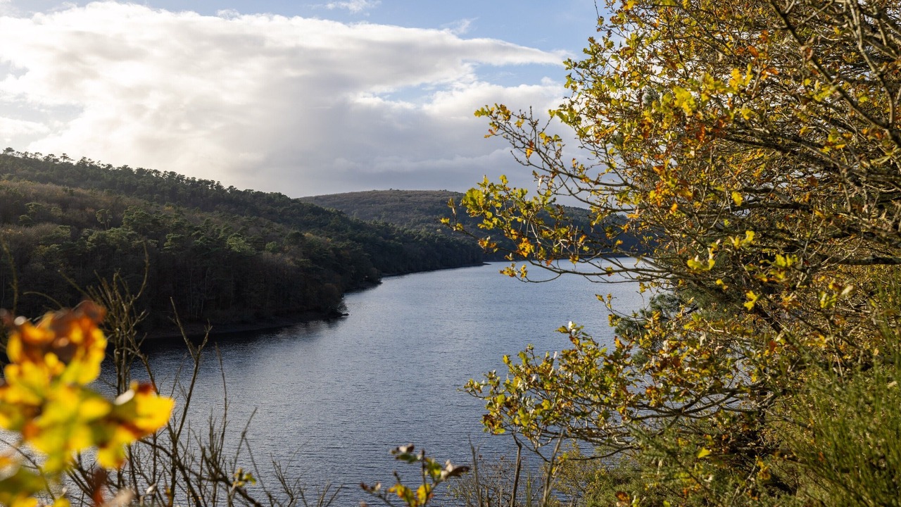 Photo of Others in Caurel