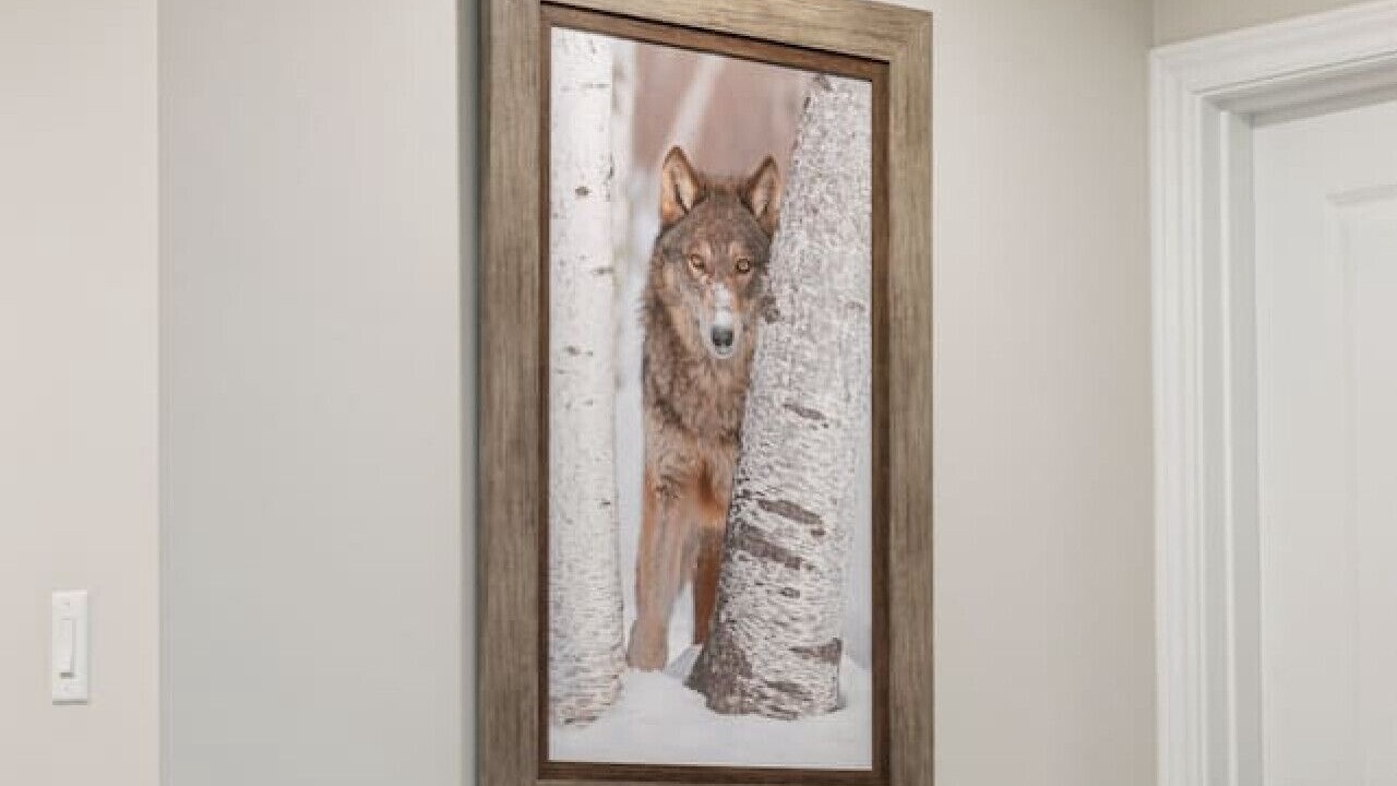 Photo of Others in Whitchurch-Stouffville