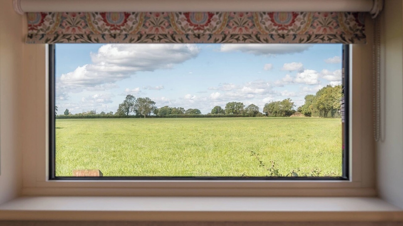 Photo of Others in Brampton