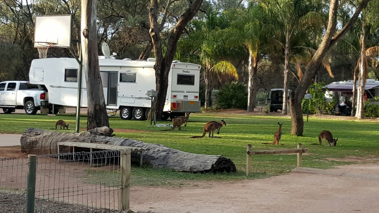 Photo of Outdoor in Renmark