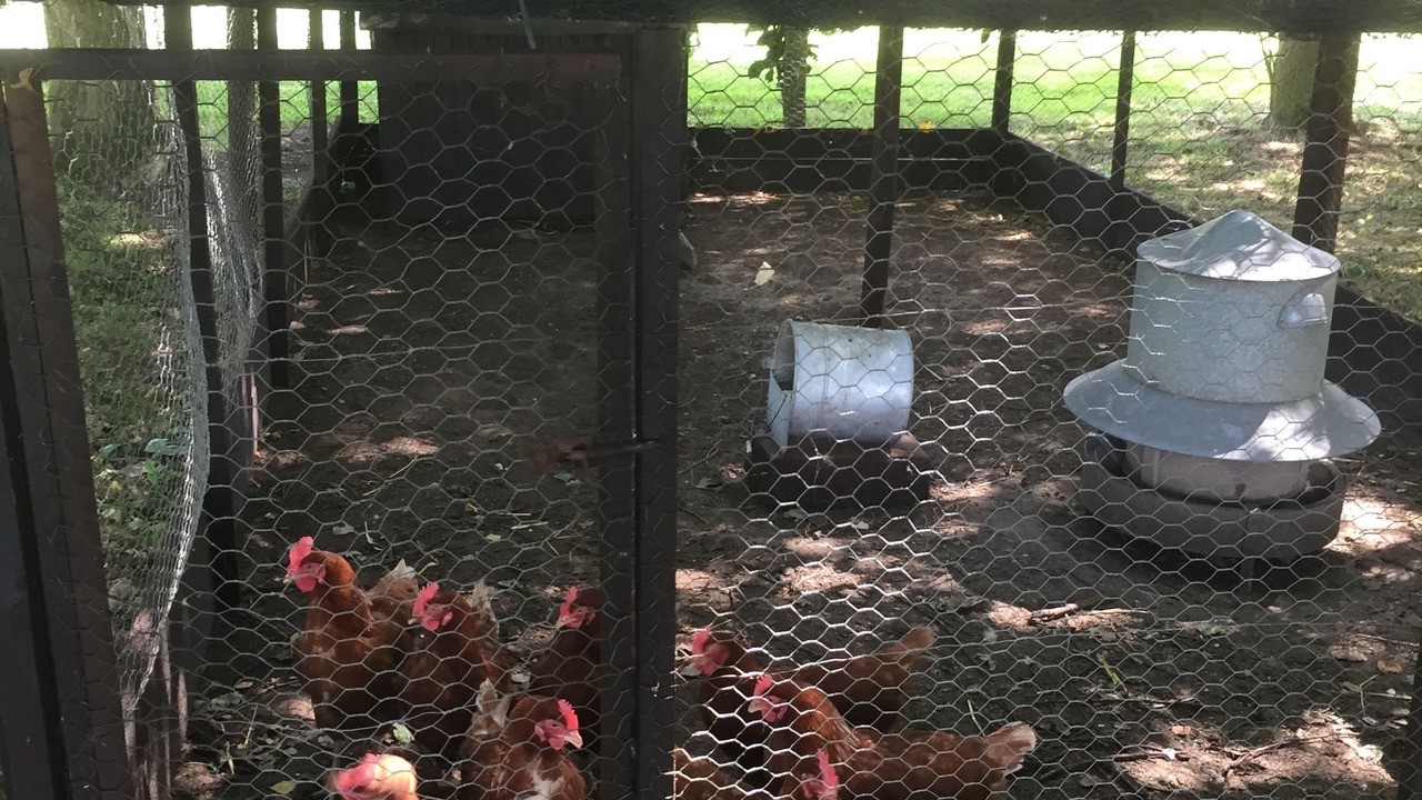 Photo of Outdoor in Beccles