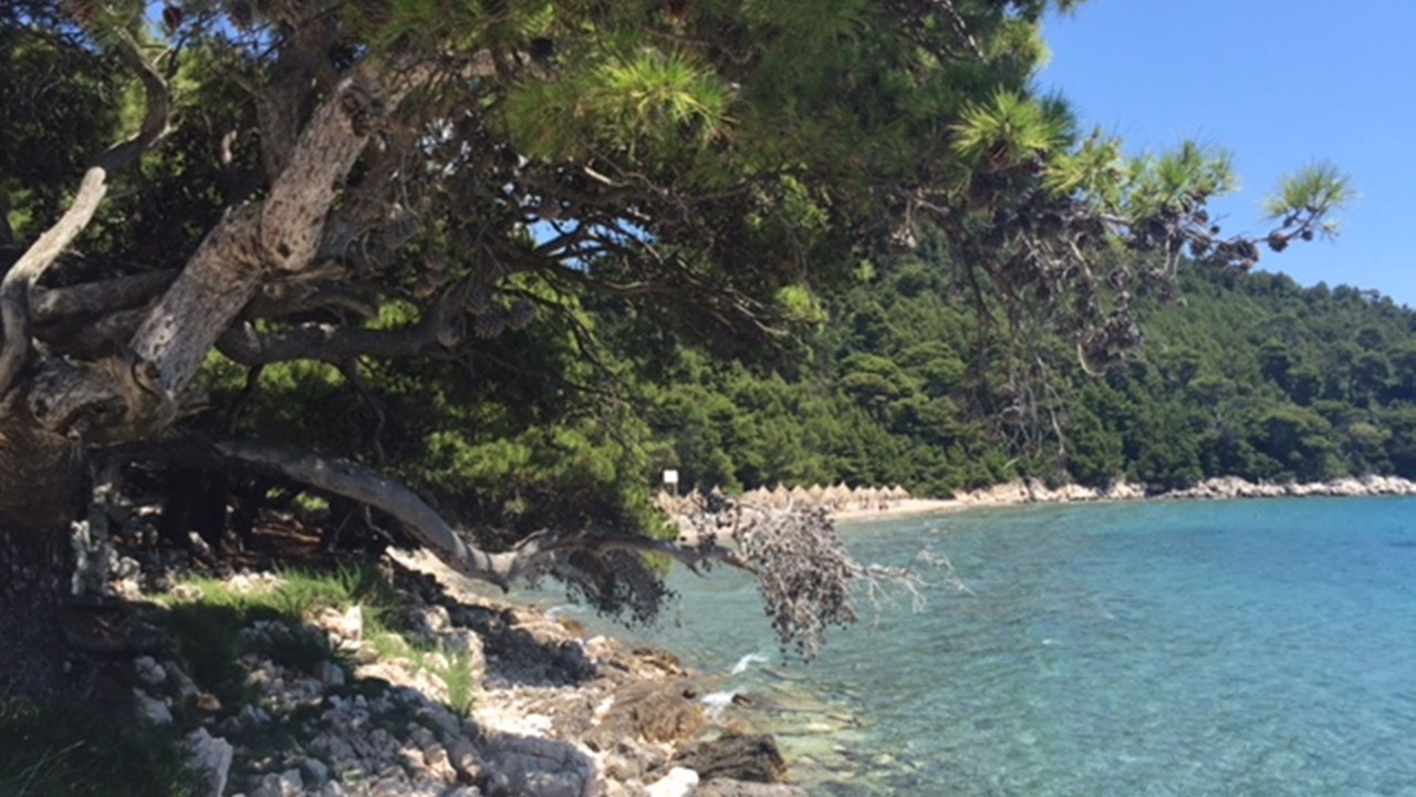Photo of Outdoor in Saplunara