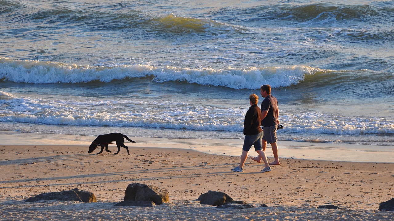 Photo of Others in Argab