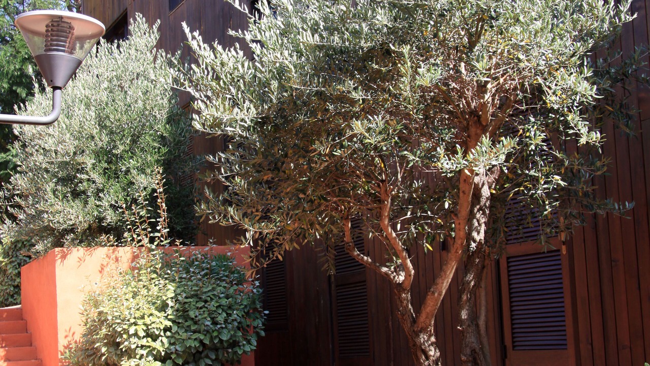 Photo of Outdoor in Santa Giulia