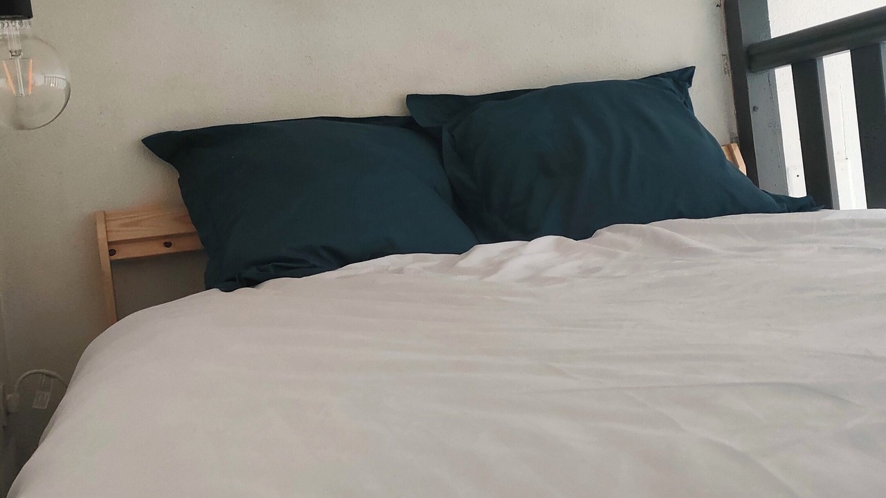 Photo of Bedroom in Riom