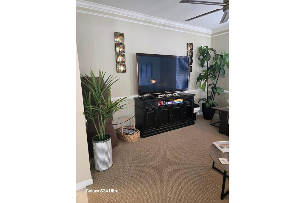 Photo of Others in Bayside