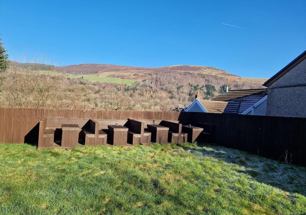 Photo of Outdoor in Mountain Ash