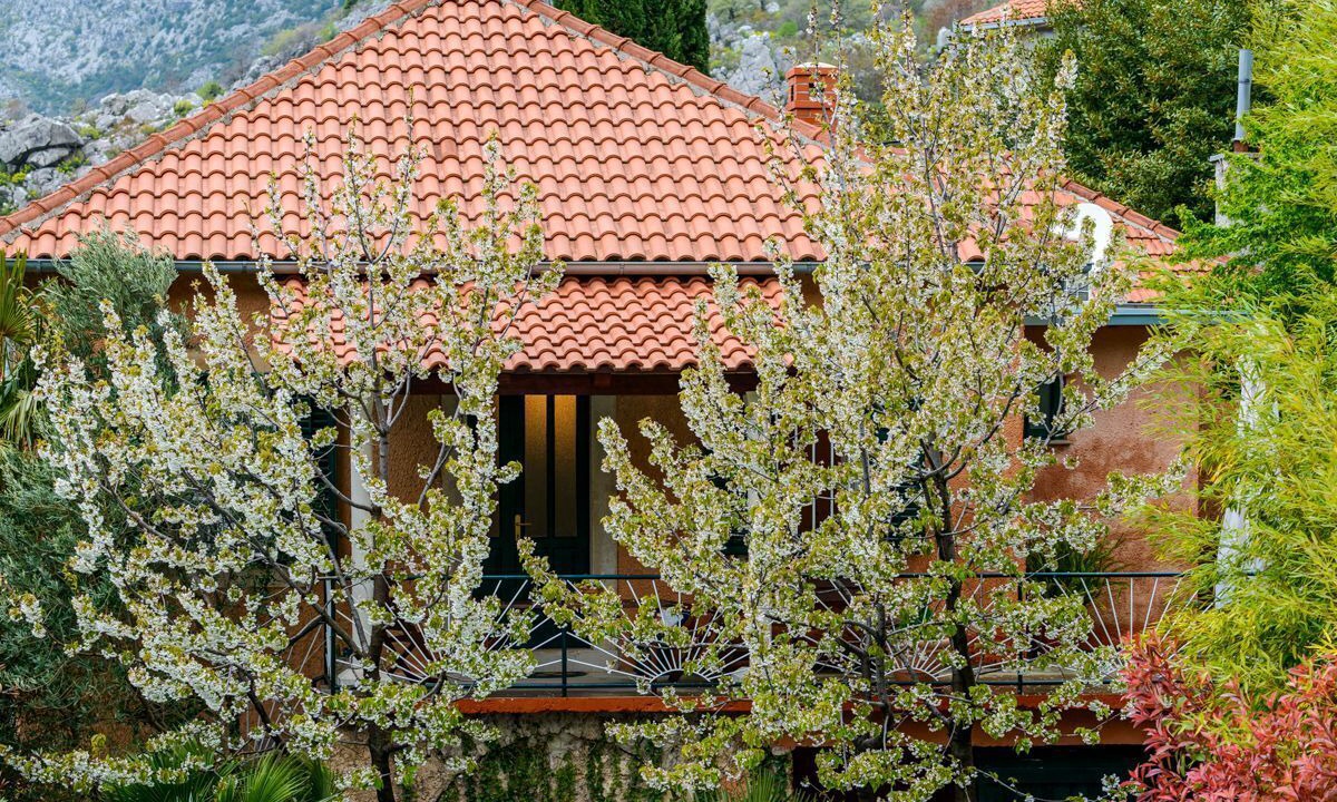 Photo of Outdoor in Konavle