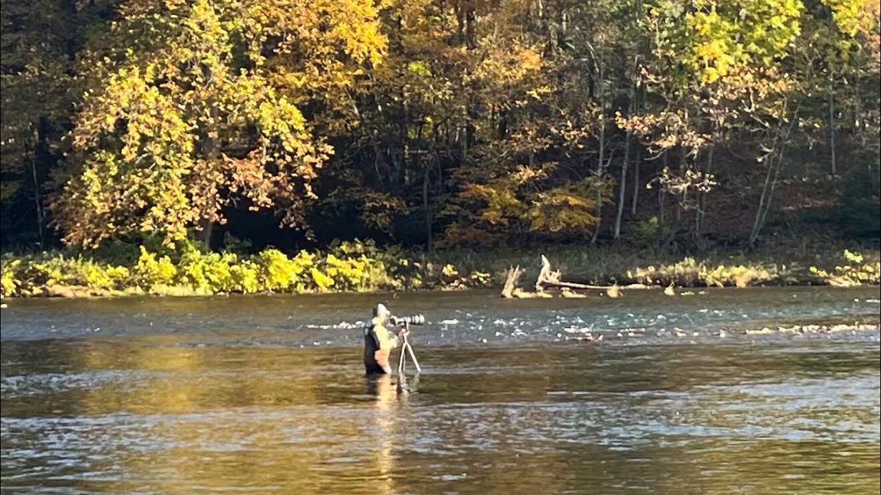 Photo of Others in Hancock