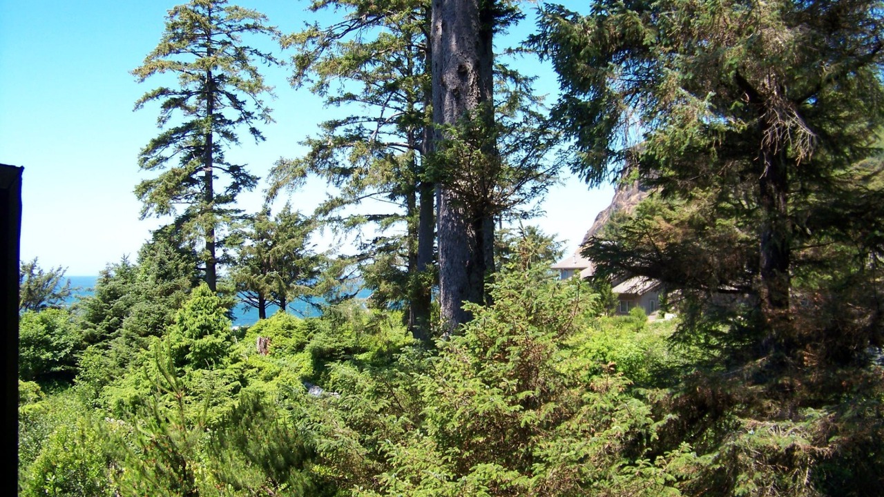 Photo of Others in Otter Rock