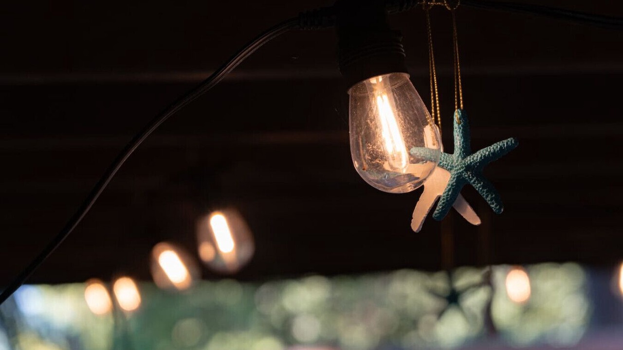 Photo of Others in Esperance