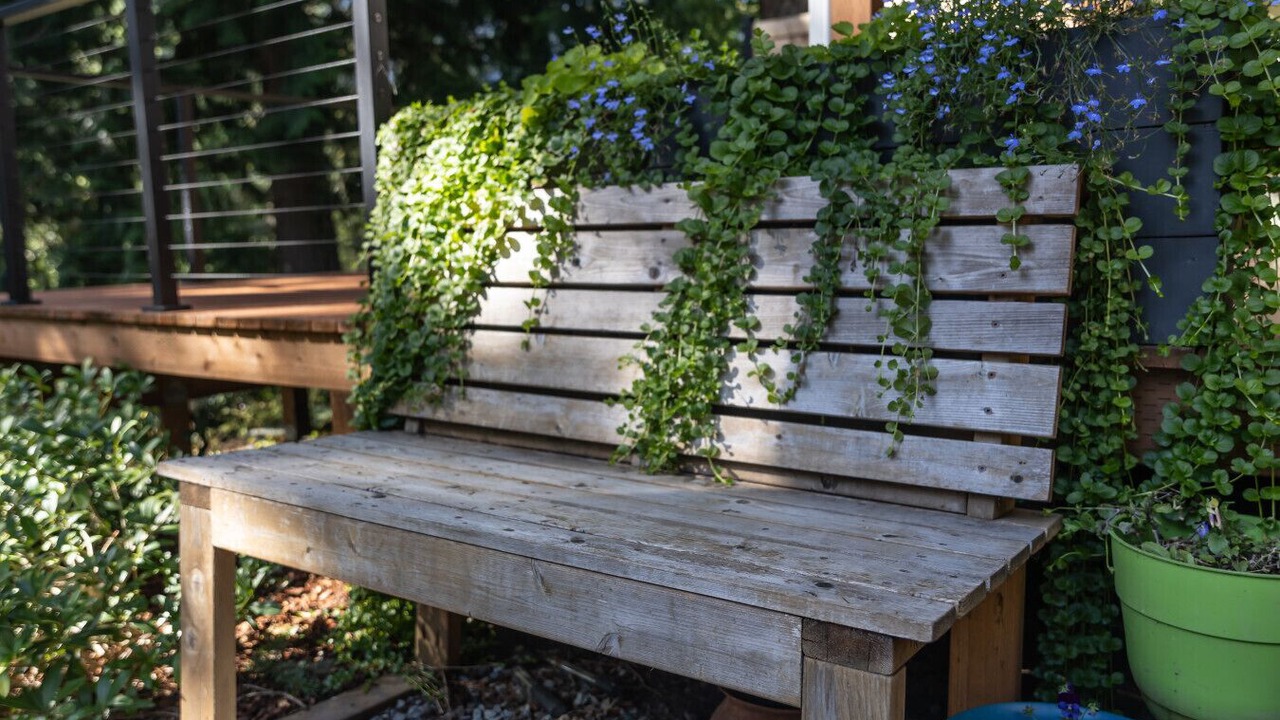 Photo of Outdoor in Sedro-Woolley