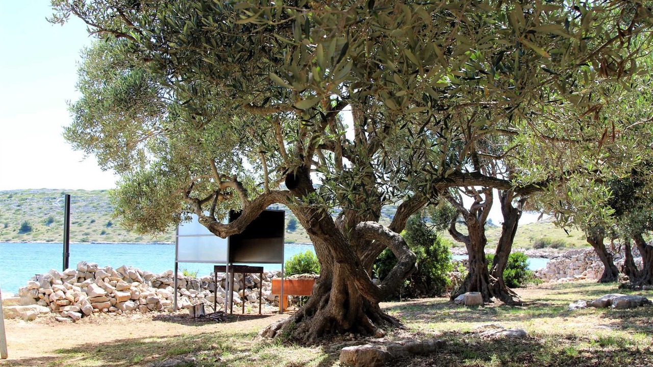 Photo of Others in Kornati