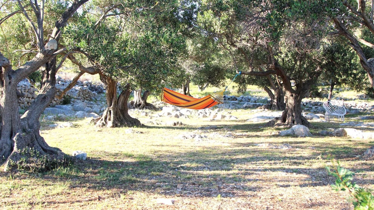 Photo of Others in Kornati