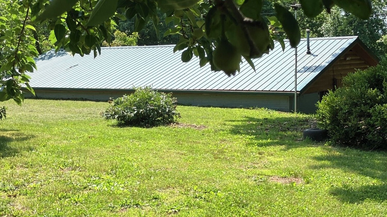 Photo of Outdoor in Bruner