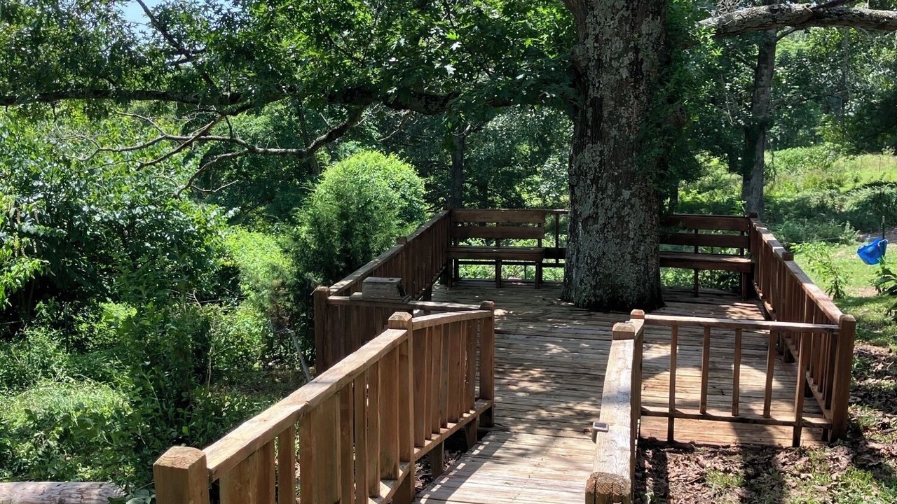 Photo of Outdoor in Bruner